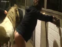 Horse fucking a kinky bitch in the farm